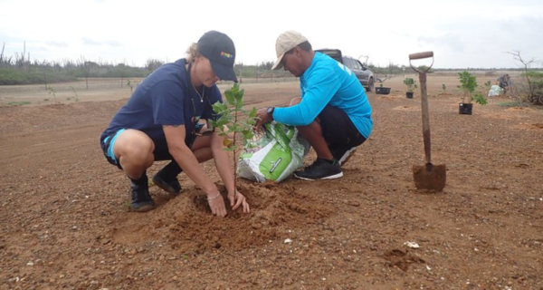 Atelier international de restauration de mangrove à Bonaire